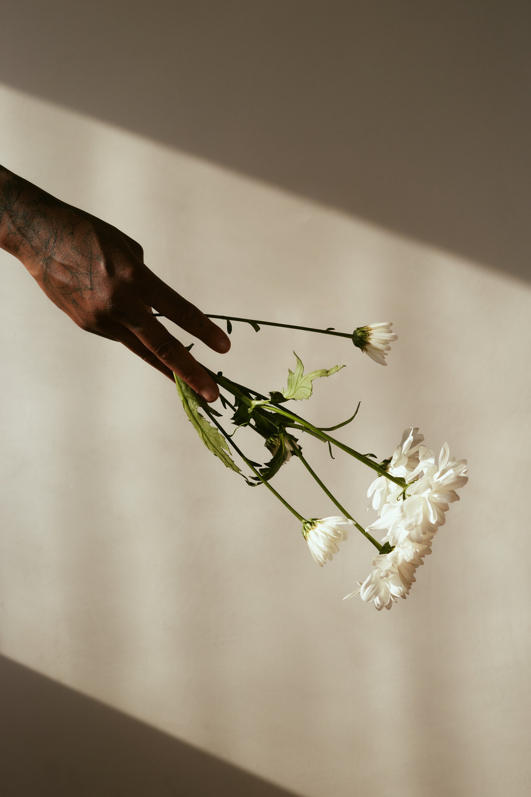 Hand Holding Flowers